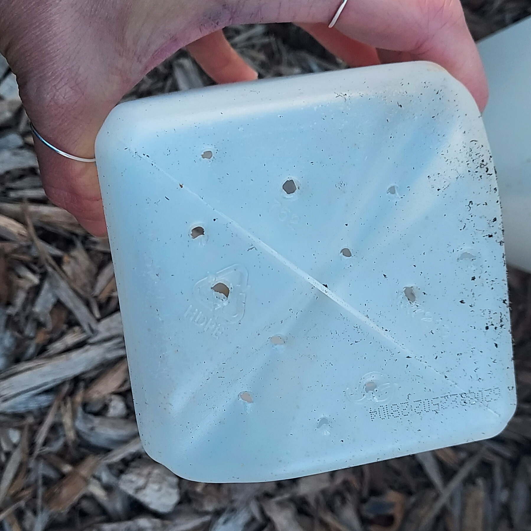 A hand holds the bottom of a milk jug showing several drilled drainage holes.